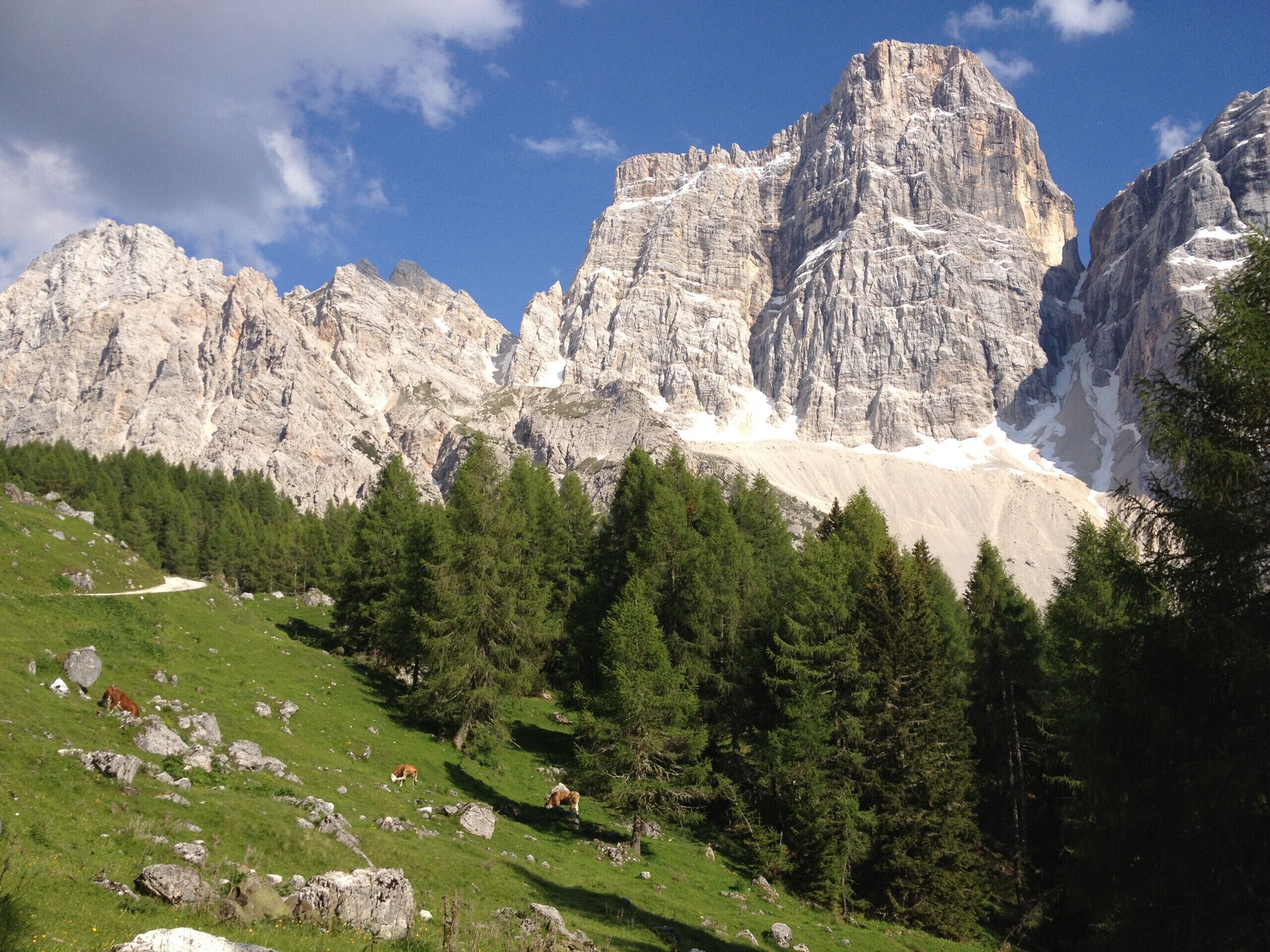 A mountainous landscape with rocky cliffs and a green valley with trees and a path.
