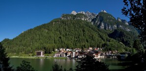 Miscellaneous - Regina 8 (Alleghe)