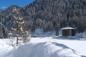 Miscellaneous - Regina 8 (Alleghe)