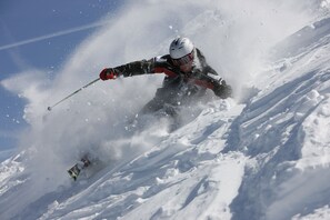 Sneeuw- en skisporten