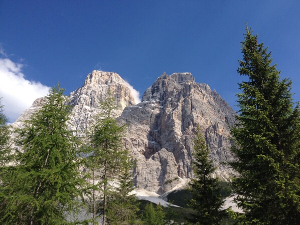 A mountain with rocky peaks and snow patches, surrounded by evergreen trees. - Casa al Moro 7 (Rocca Pietore)