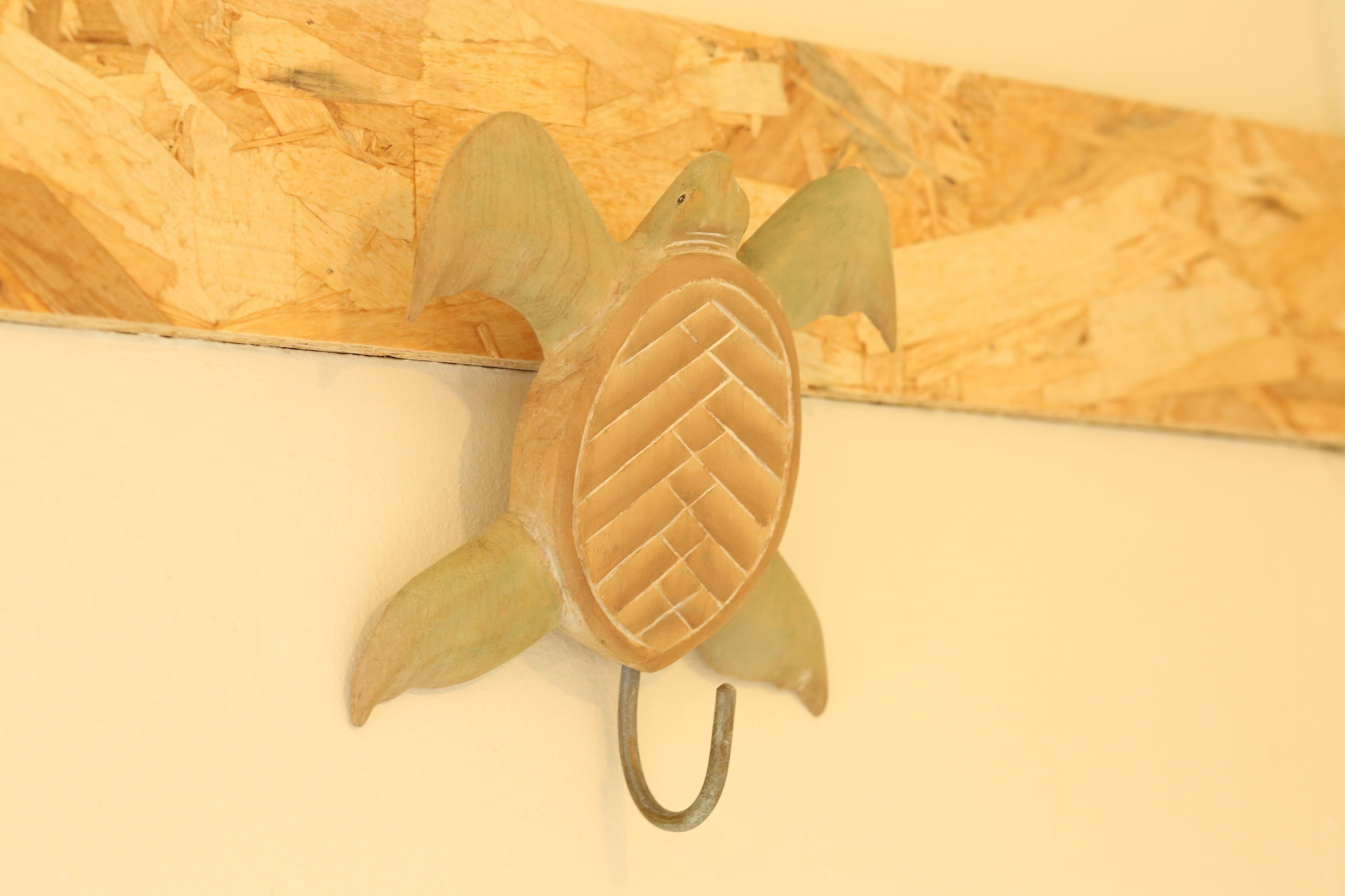 A turtle-shaped wall decoration with a textured shell and a hook.