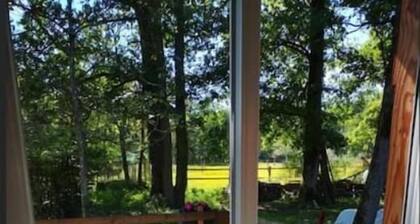 Domaine de la salamandre