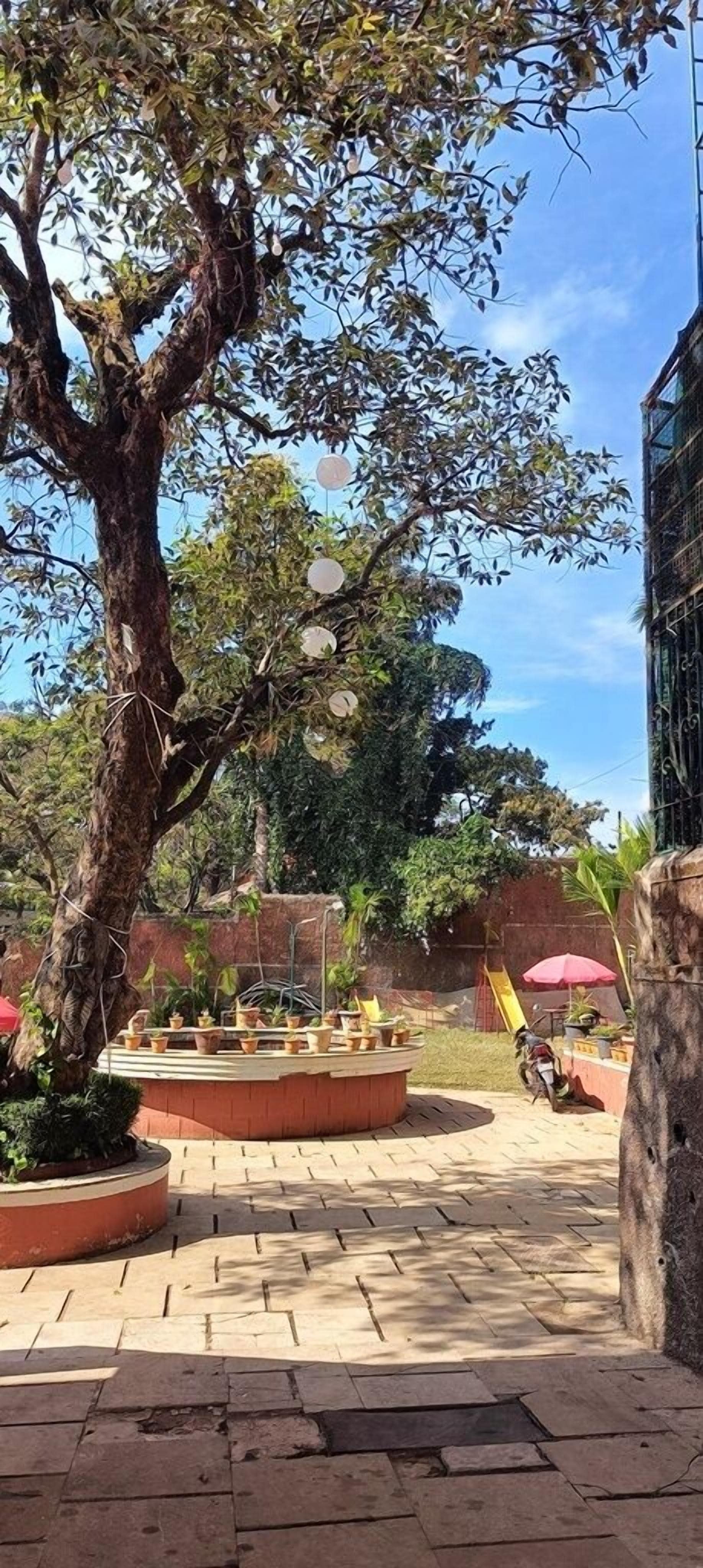 A paved outdoor area with a large tree, a circular planter with plants, and a brick wall in the background.