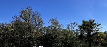 Dordogne, Maison Avec Grande Piscine, 5 Chambres, 11 Couchages + 2 Lits Bébé