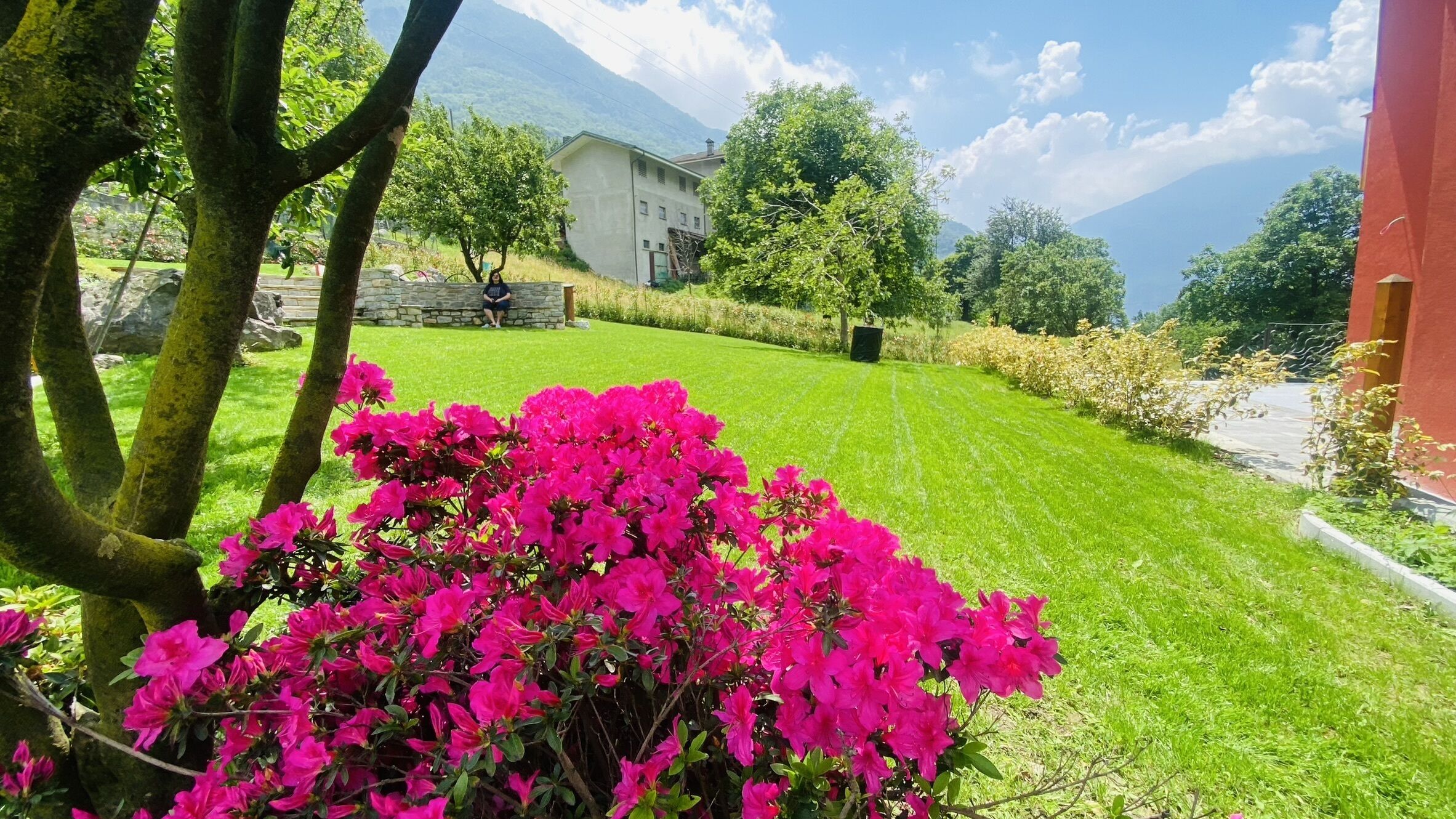 Blick auf den Garten