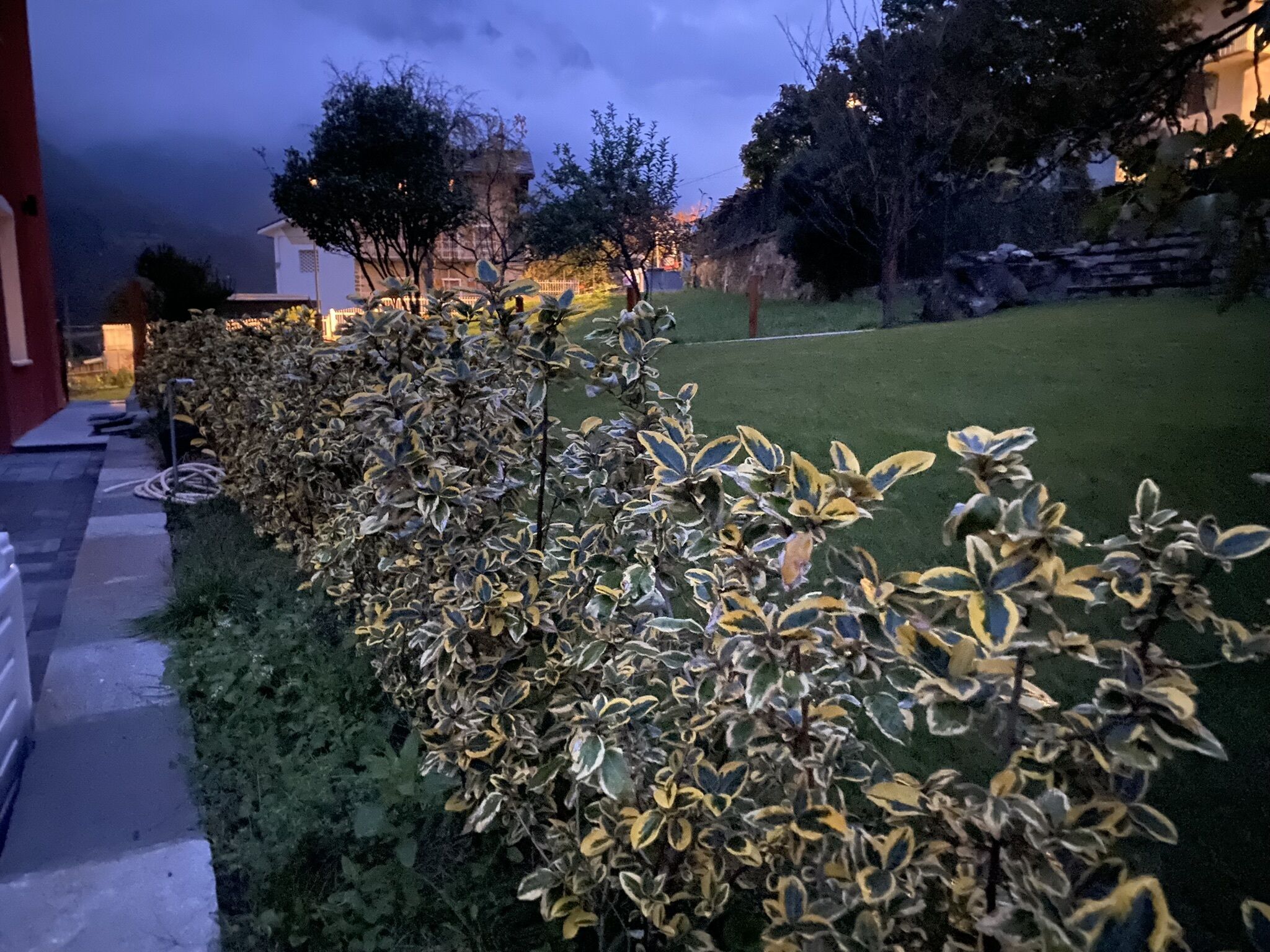 A well-maintained garden with a variety of shrubs and a lawn, bordered by a stone pathway.