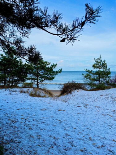 Zinnowitz, Ferienwohnung Strand und Wald - Ruhig und zentral gelegen.