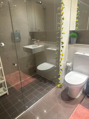 Shower, hair dryer, towels, soap