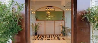 Olive Tree Resort