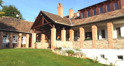 Petit village, petite maison d'hôtes, vin et détente dans la Région Viticole Neszmély 7682