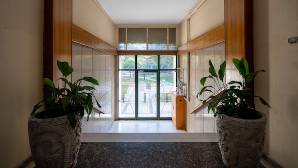A hallway with a glass door leading outside, flanked by two large potted plants.