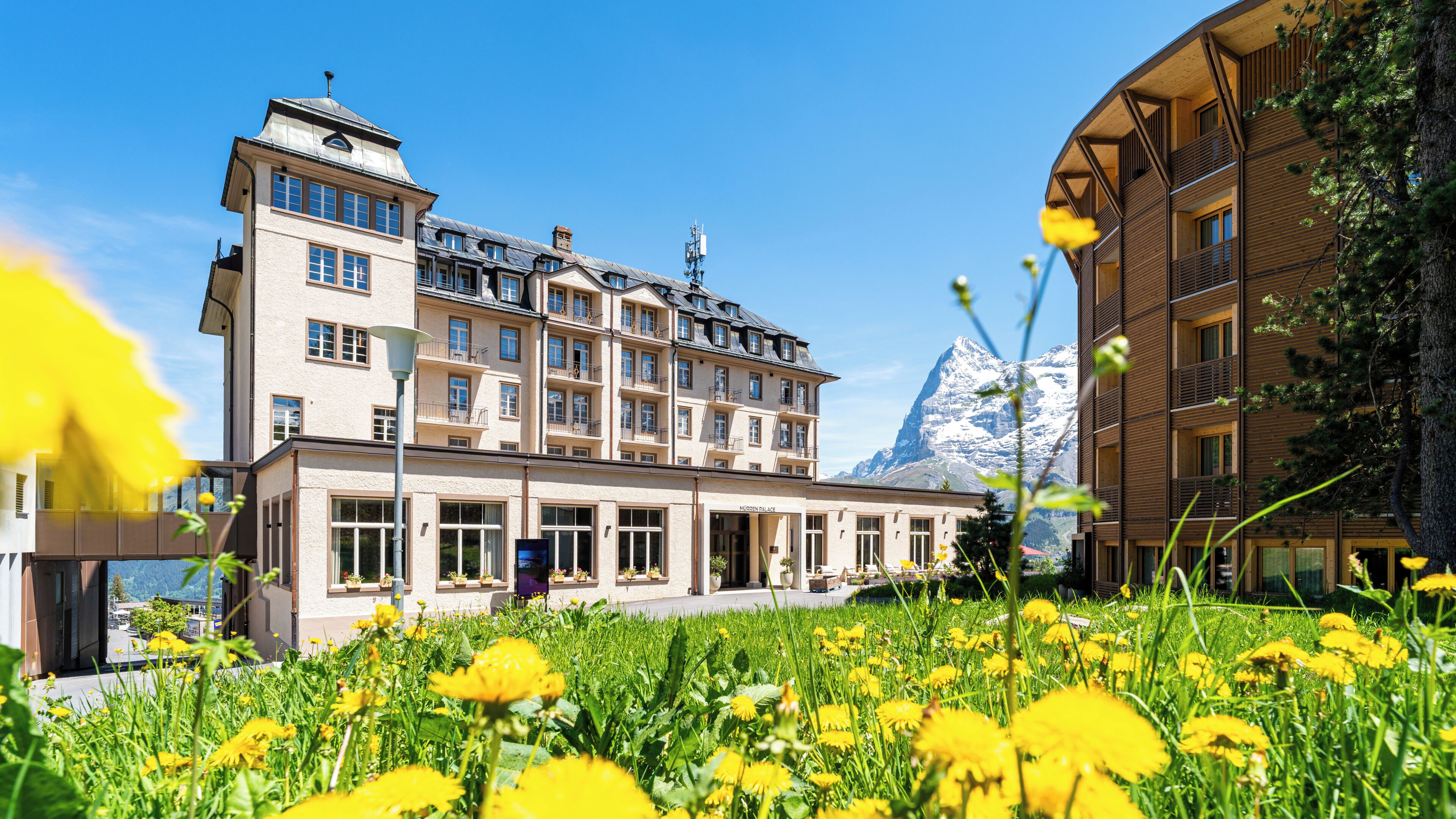 Ein mehrstöckiges Hotel mit Balkon, einem Berg im Hintergrund und einem Garten mit gelben Blumen.