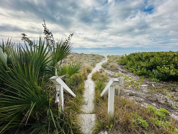 Property grounds - Heart of Indian Rocks Beach on the Sand Balcony Sunset Views (Indian Rocks Beach)