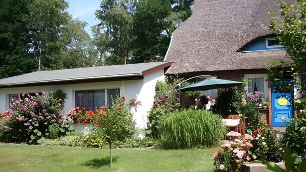 Una casa con techo de paja y un jardín con diversas plantas y flores.