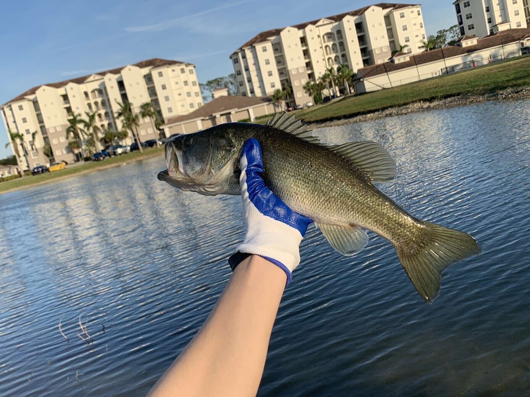 A person holding a fish near a body of water with buildings in the background.