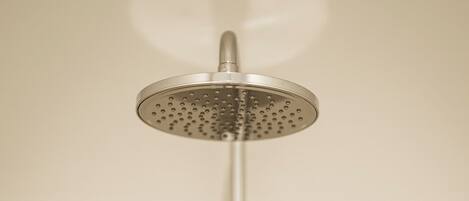 A showerhead with a circular spray head and a handheld shower attachment.