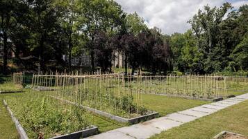 Een tuin met verhoogde borders en een houten omheining.