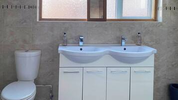 Basic Suite | Bathroom | Shower, hair dryer, towels, toilet paper