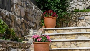 Una escalera de piedra con macetas de terracota con flores rosadas.