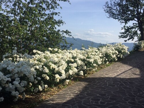 Une merveilleuse vacance en pleine contact avec la nature en toute quiétitude!