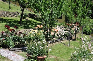 A garden with various flowering plants and a stone pathway.