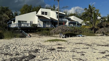 A beachfront property with a modern white building, a palm tree, and a beach with seaweed.