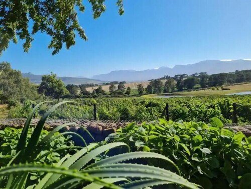 Self catering accomadation in the winelands.  Mon Rêve Estate - Cottage 3
