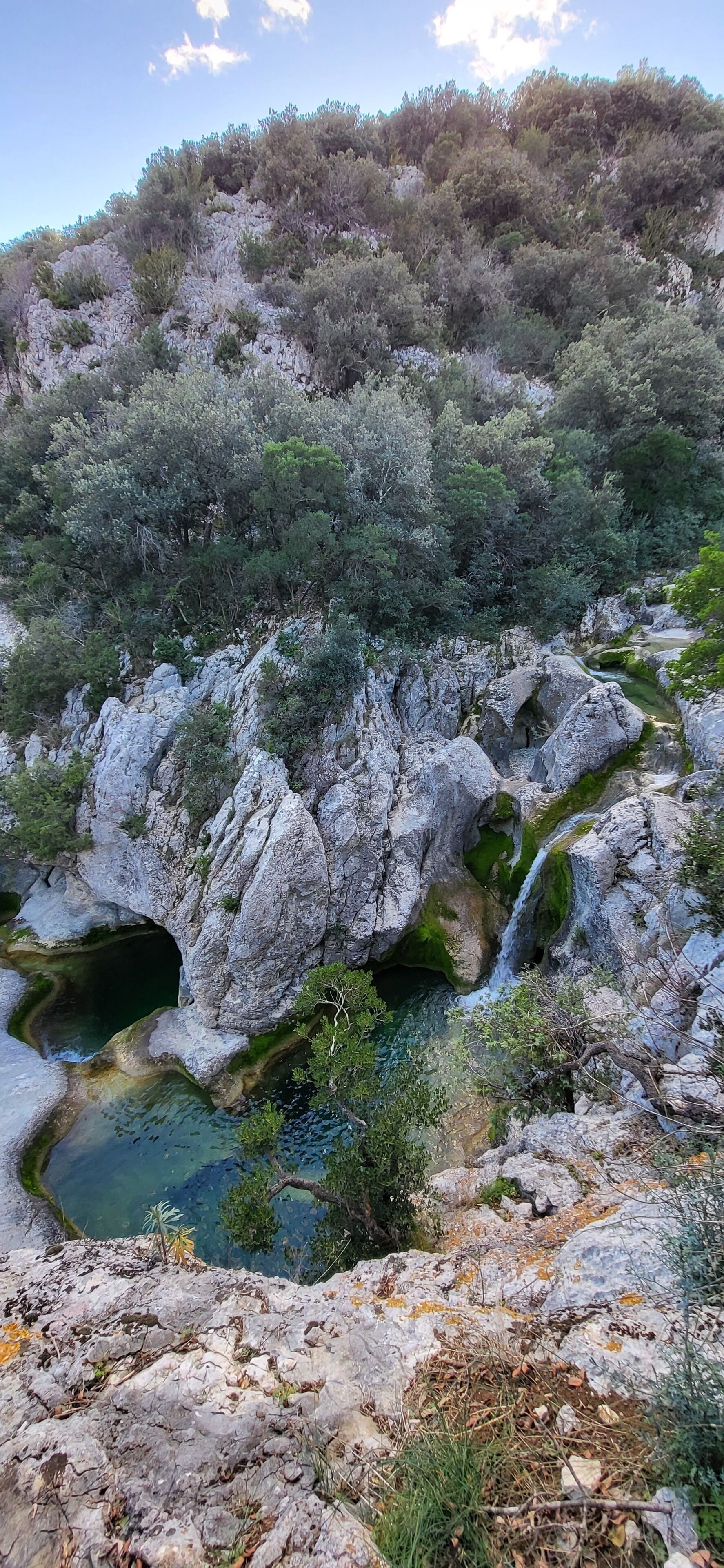 A rocky landscape with a small waterfall and a clear pool, surrounded by dense vegetation and a hill in the background.