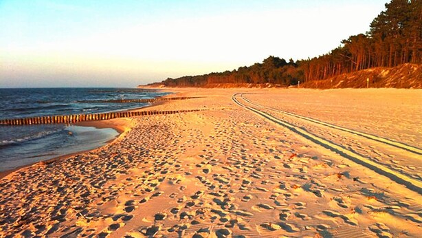 A beach with footprints, a wooden jetty, and a forested hill in the background. - Holiday homes with air conditioning, pool, jacuzzi (Jaroslawiec)