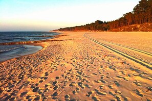 A beach with footprints, a wooden jetty, and a forested hill in the background.
