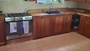 Oven, stovetop, cookware/dishes/utensils, spices