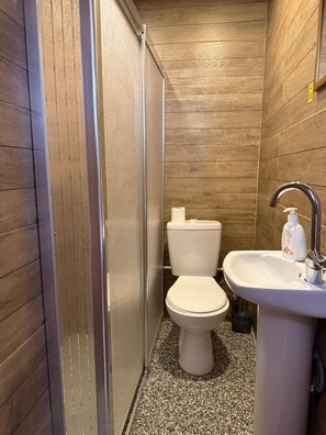 Standard-herbergi fyrir þrjá - borgarsýn | Baðherbergi | Sturta, hárblásari, handklæði, sápa