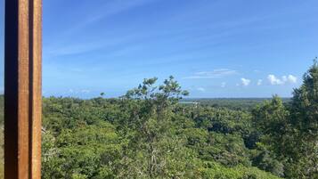 A view of a lush, green landscape with dense foliage and a clear blue sky.