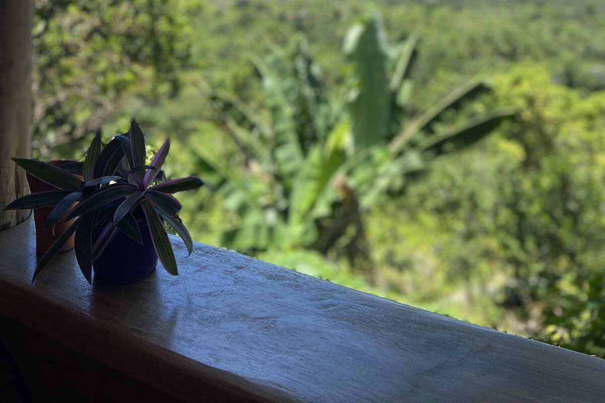 A view from a window overlooking a lush landscape with a wooden railing and a small potted plant.