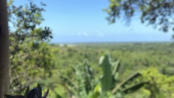 Vista desde una ventana que da a un paisaje exuberante, con baranda de madera y una pequeña planta en maceta.