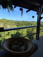 Um deck de madeira com guarda-corpo, com vista para uma paisagem verde exuberante.
