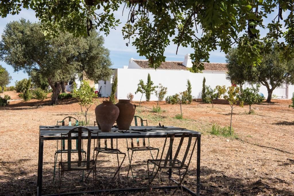 An outdoor dining area with a table and chairs, surrounded by olive trees and a white building in the background.
