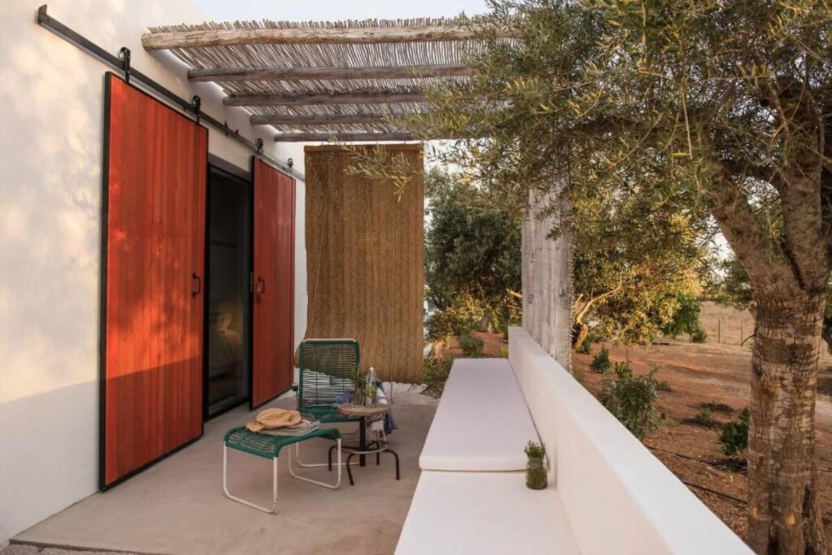 A modern outdoor patio with a seating area, a pergola, and a large tree providing shade.