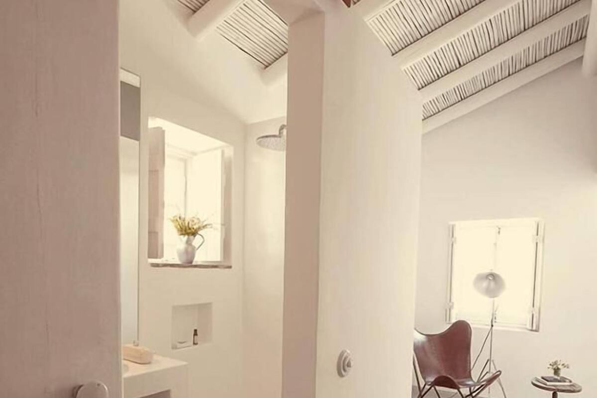 A modern, minimalist bathroom with a large mirror, a sink, and a potted plant.