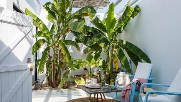 A cozy outdoor seating area with a round woven table, blue chairs, and lush banana plants. - Pensão Agrícola (Tavira)