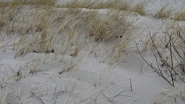 A beach with sand dunes and a calm sea under a cloudy sky.