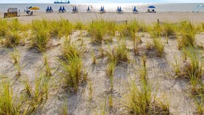 Ein Strand mit Reihen blauer Strandstühle und Liegen, ein sandiger Vordergrund mit Gras und ein klarer, blauer Himmel.