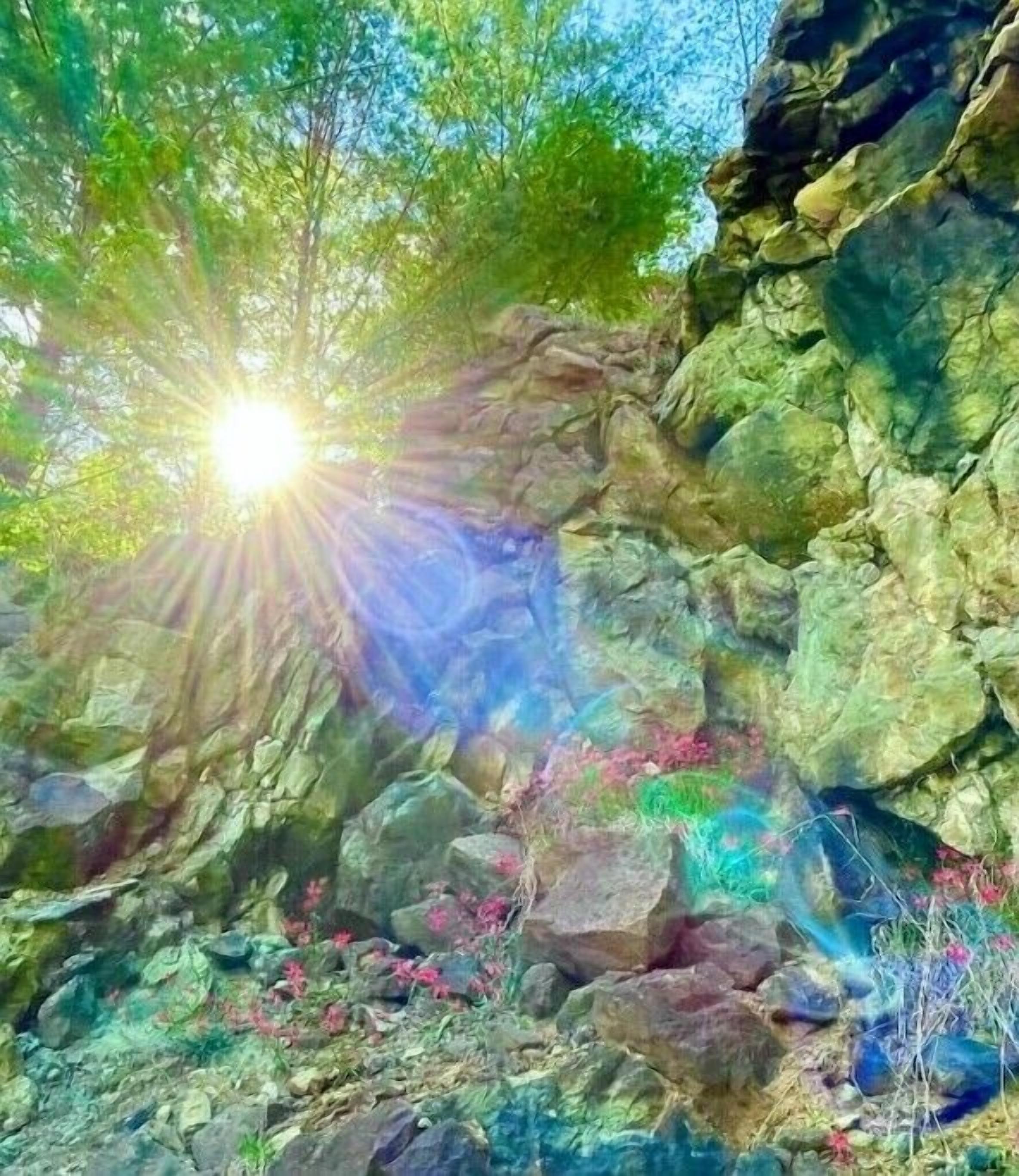 Eine felsige Landschaft, durch die Sonnenlicht zwischen den Bäumen scheint.