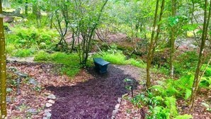 A forested area with a path leading through it, surrounded by trees and greenery.