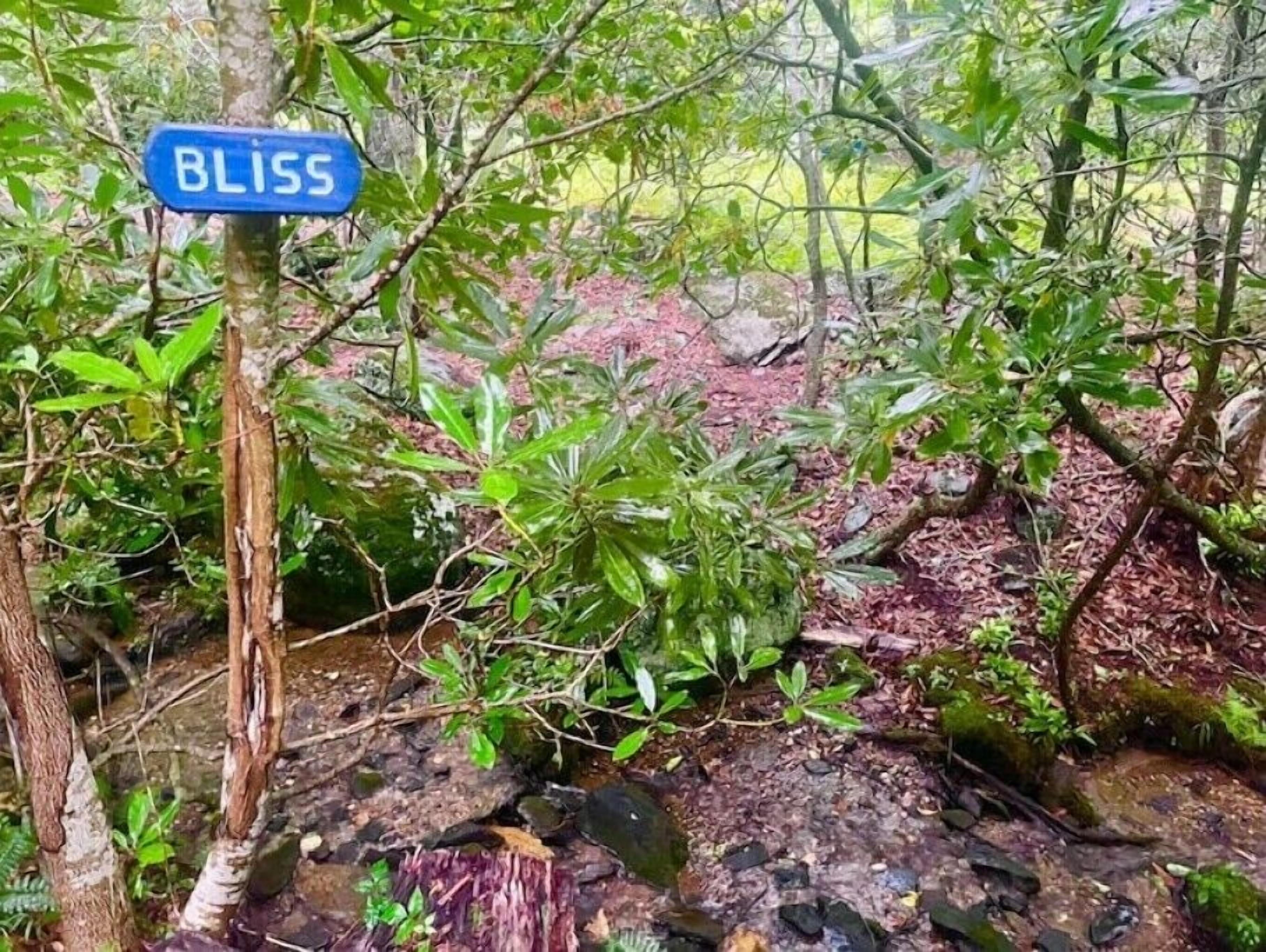 Een bord met de tekst 'BLISS' in een natuurlijke omgeving, met weelderige begroeiing en een rotsachtige ondergrond.