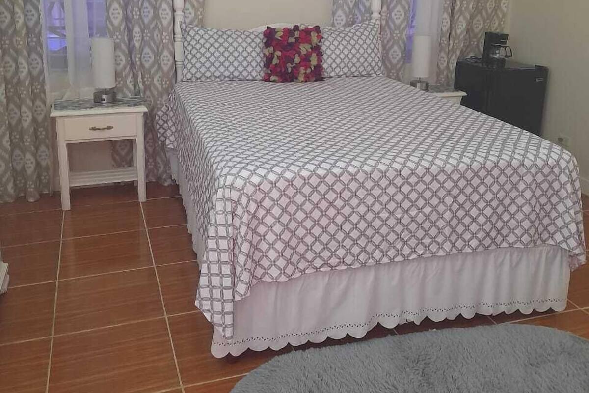 A bedroom with a bed, a nightstand, an air conditioner, a framed picture on the wall, and a grey rug.
