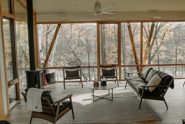 Smart TV, fireplace, books