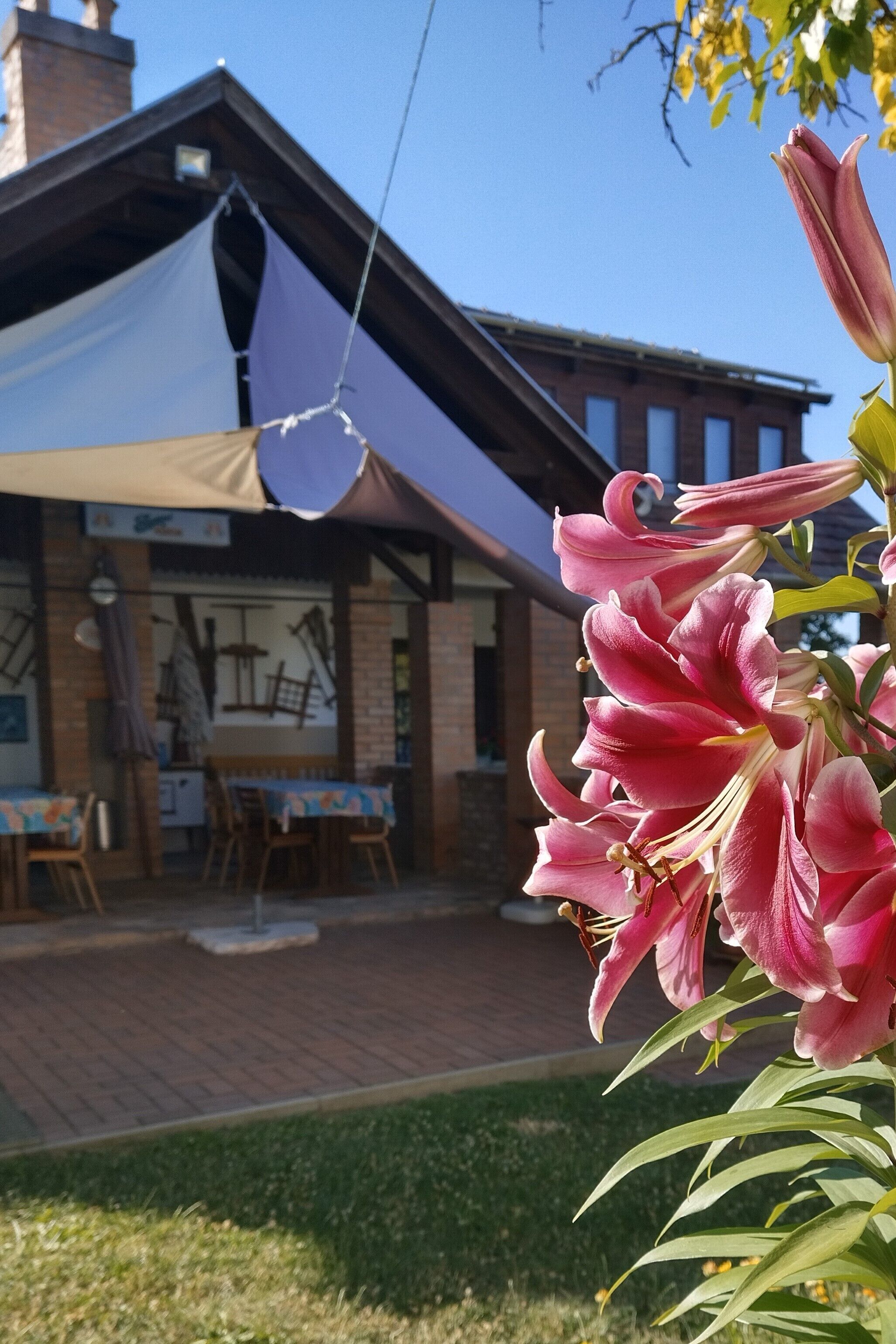 Rom, 2 soverom, røyk, terrasse | Overnattingsstedets uteområder