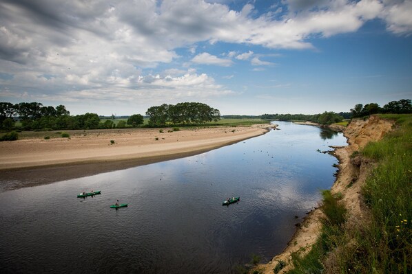 Une rivière avec trois canots verts, une berge sablonneuse et une rangée d’arbres sous un ciel partiellement nuageux.